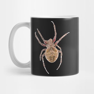 Fierce Orb-Weaver Spider Mug